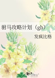 驸马攻略计划(gb)