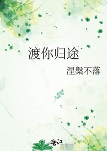 渡你归途